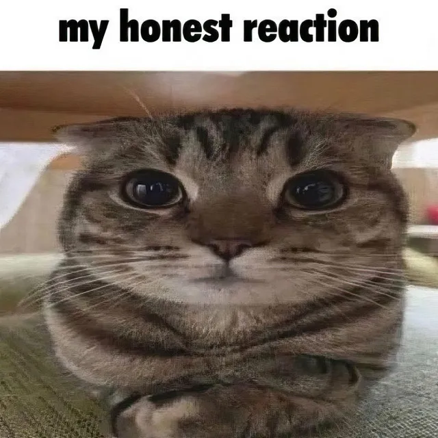 my honest reaction