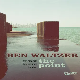 The Point by Ben Waltzer