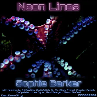 Neon Lines by Sophie Barker