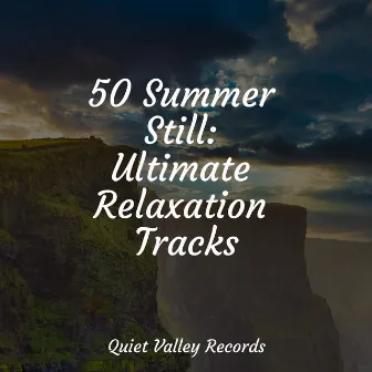 50 Summer Still: Ultimate Relaxation Tracks by Nature and Rain