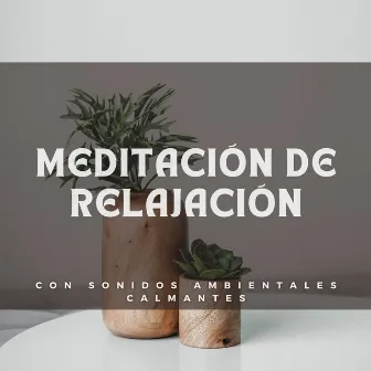 Meditación De Relajación Con Sonidos Ambientales Calmantes by Salón del vestíbulo del hotel