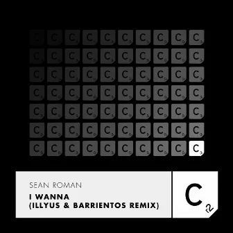 I Wanna (Illyus & Barrientos Remix) by Sean Roman