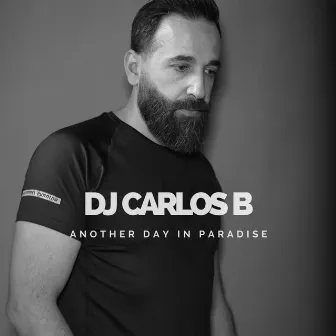 Another Day In Paradise (Remix) by DJ Carlos B