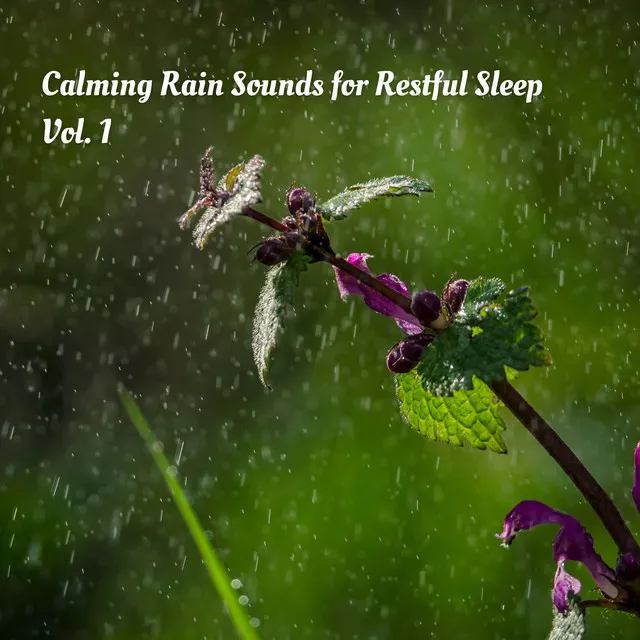 Calming Rain Sounds for Restful Sleep Vol. 1