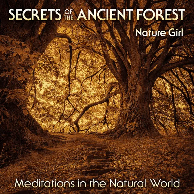 Secrets of the Ancient Forest (Meditations in the Natural World)