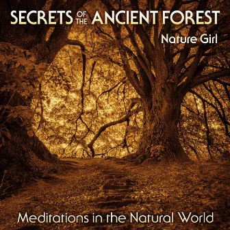 Secrets of the Ancient Forest (Meditations in the Natural World) by Nature Girl