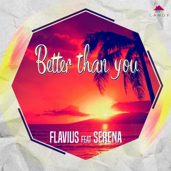 Better Than You by Flavius