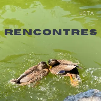 Rencontres (Acoustic) by Lota