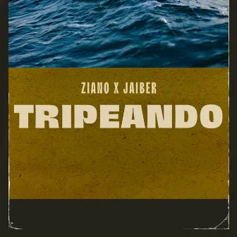 Tripeando by Ziano