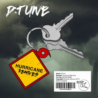 Hurricane (Remixes) by D:Tune