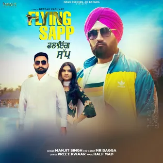 Flying Sapp by Manjit Singh