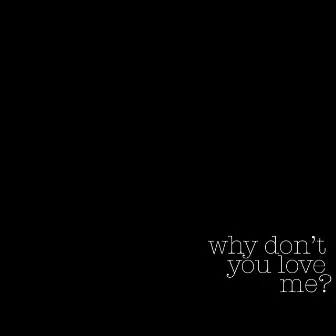 Why Don't You Love Me? by Stephie Coplan