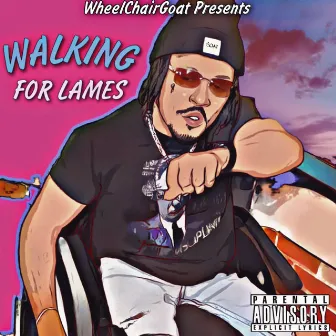 Walking For Lames by WheelChair Goat