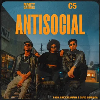 Antisocial by Marty Grimes