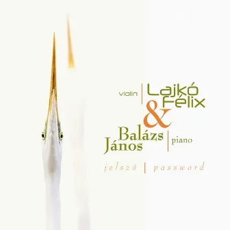 Jelszó by Lajkó Félix