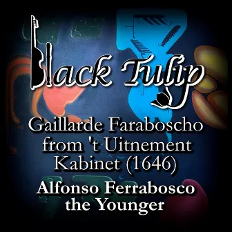 't Uitnement Kabinet: Gaillarde Faraboscho by Black Tulip