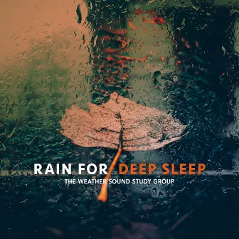 Rain for Deep Sleep by Unknown Artist