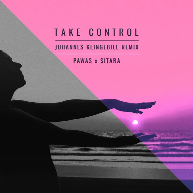 Take Control (Remix)