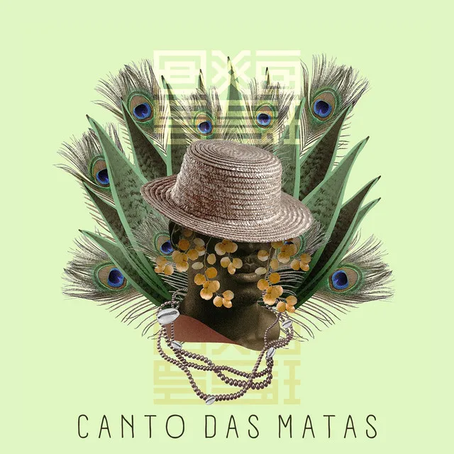 Canto das Matas