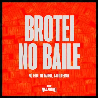 Brotei no Baile by Dj Felipe Maia