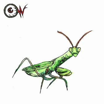 Mantis by Oliver Castillo