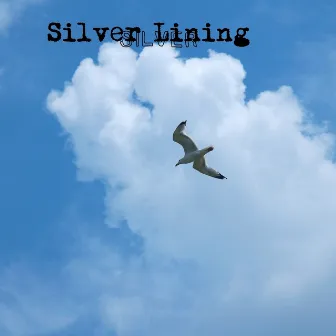 Silver Lining by Silver