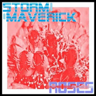 Roses by Storm Maverick