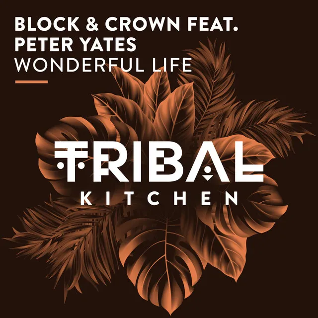 Wonderful Life - Radio Edit