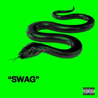 Swag by smokethekiq