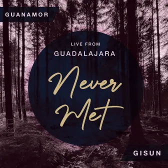 Never Met (Live) by Gisun