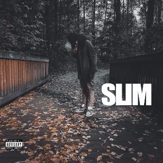 Slim by $koobyD