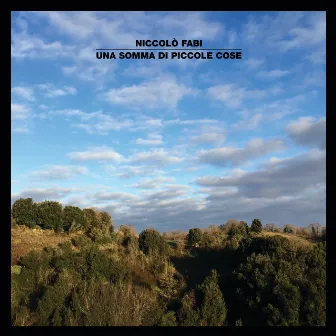 Una Somma Di Piccole Cose by Niccolò Fabi