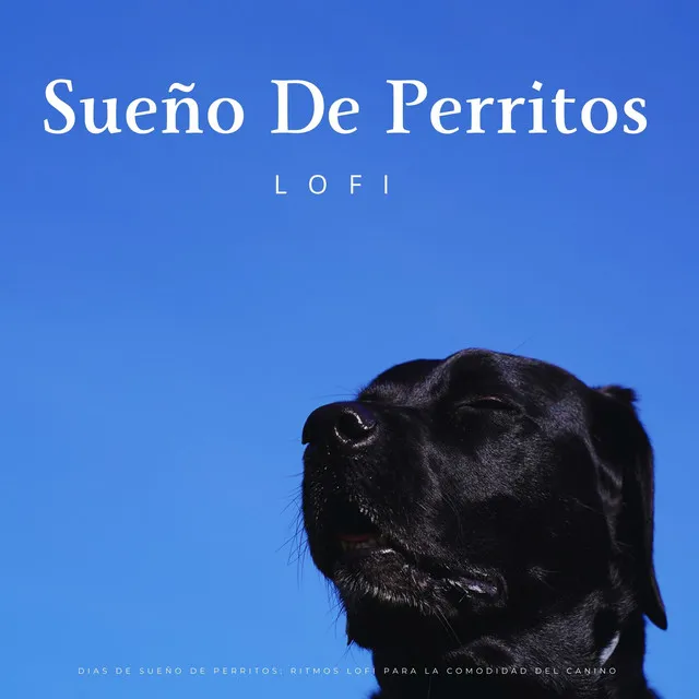 Dias De Sueño De Perritos: Ritmos Lofi Para La Comodidad Del Canino