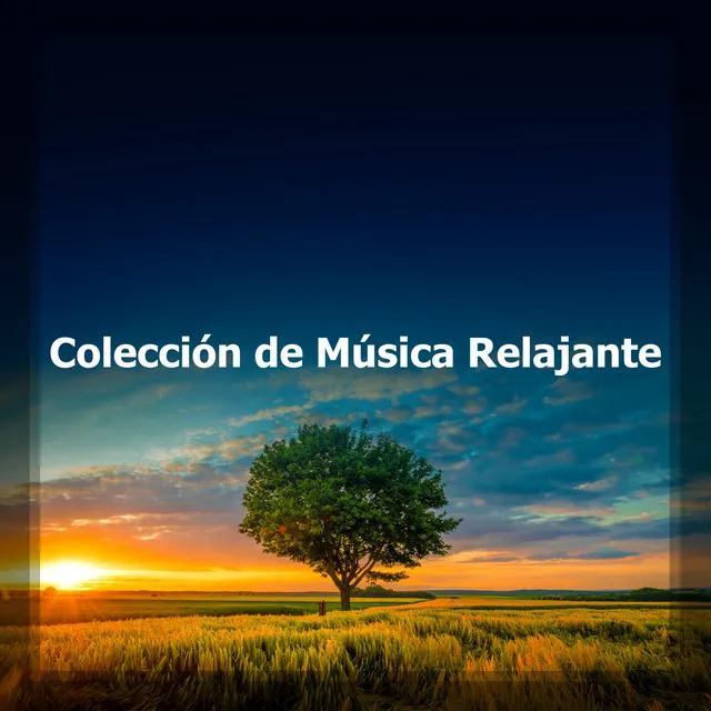 Colección de Música Relajante