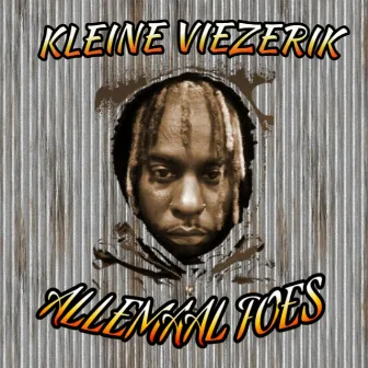 Allemaal Poes by Kleine Viezerik