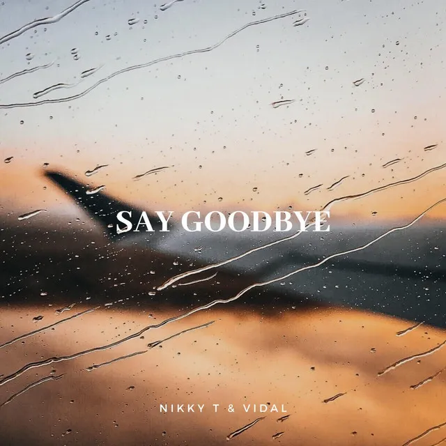 Say Goodbye