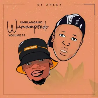 Umhlangano Wamampondo, Vol. 1 by Dj Aplex