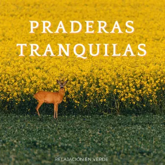 Praderas Tranquilas: Relajación En Verde by Verde 5