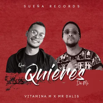 Que Quieres de Mi by Vitamina M