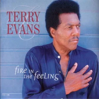 Fire in the Feeling by Terry Evans