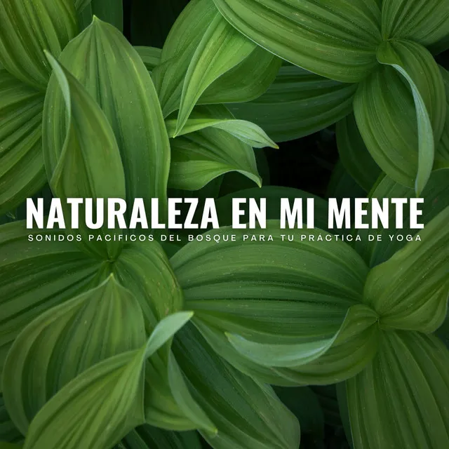 Naturaleza En Mi Mente: Sonidos Pacíficos Del Bosque Para Tu Práctica De Yoga