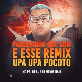 Passarinho Que Som É Esse? (Remix Upa Upa Pocotó) by DJ MENOR DA B