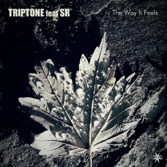 The Way It Feels by Triptone