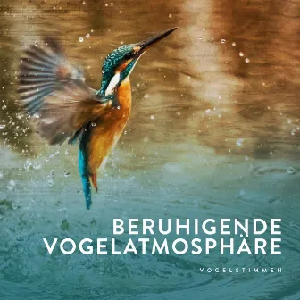 Beruhigende Vogelatmosphäre by Vogelstimmen