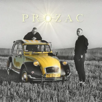 PROZAC by Skowron