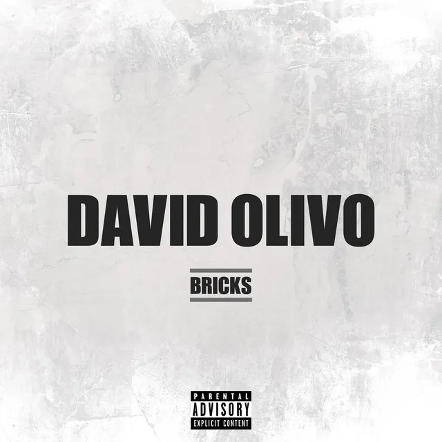 Bricks