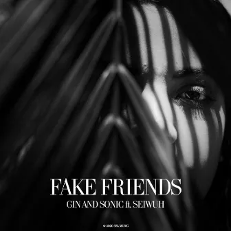 Fake Friends by Gin and Sonic