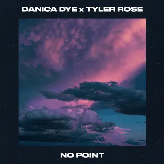 No Point by Danica Dye