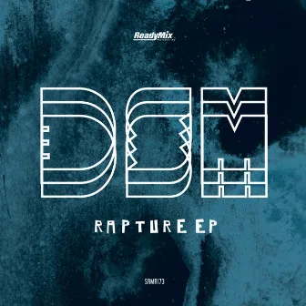 Rapture EP by DSM