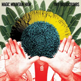 Tiny Breadcrumbs by Magic Mountain High